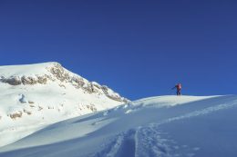 pexels-bastian-riccardi-6377295 (1)
